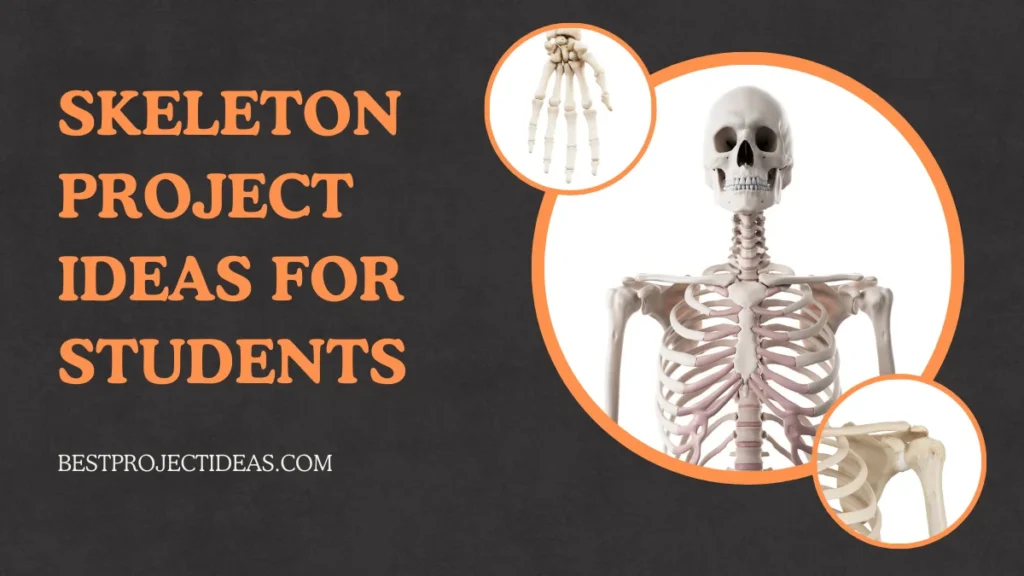 Skeleton Project Ideas For Students