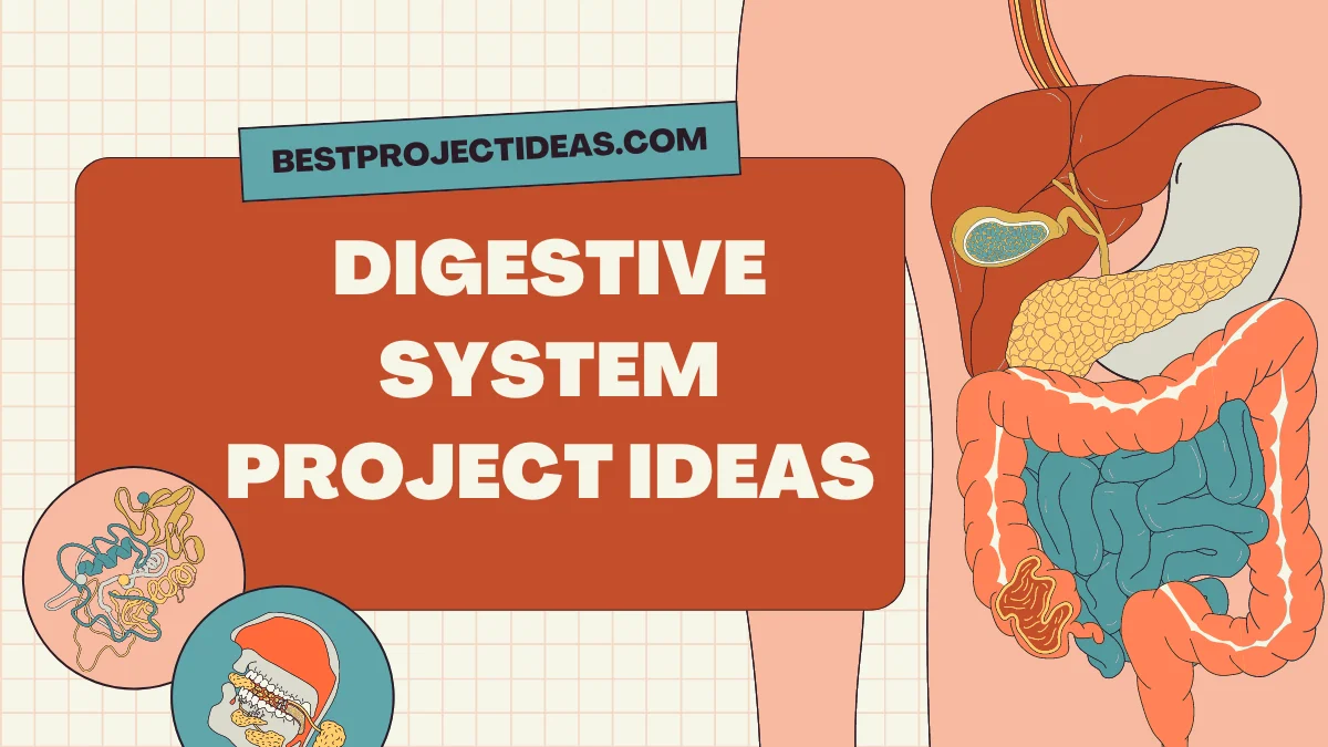 Digestive System Project Ideas