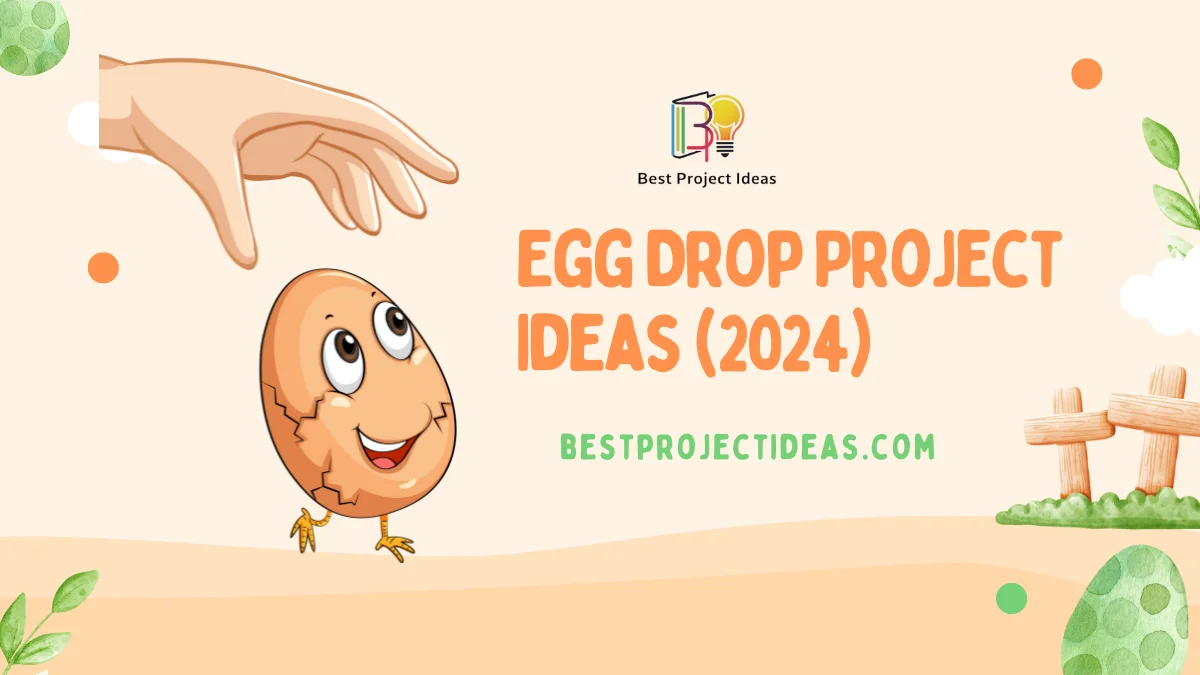 Egg Drop Project Ideas