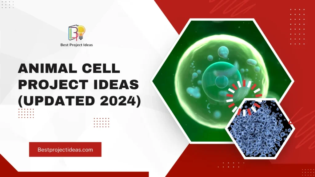 Animal Cell Project Ideas