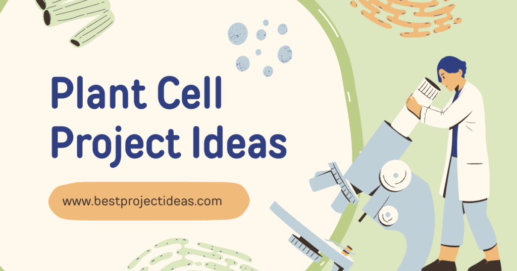 Plant Cell Project Ideas