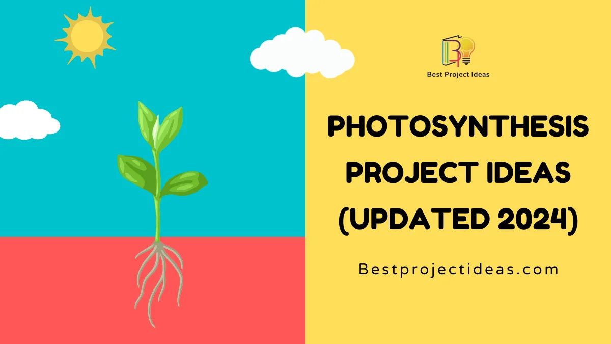 Photosynthesis Project Ideas