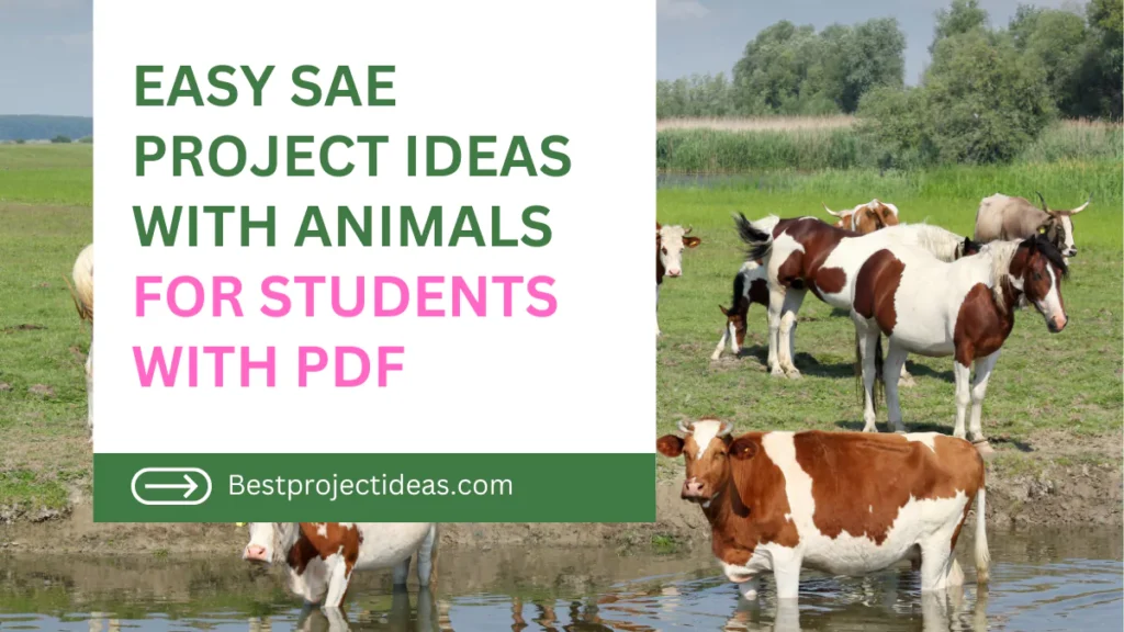 sae-project-ideas-with-animals