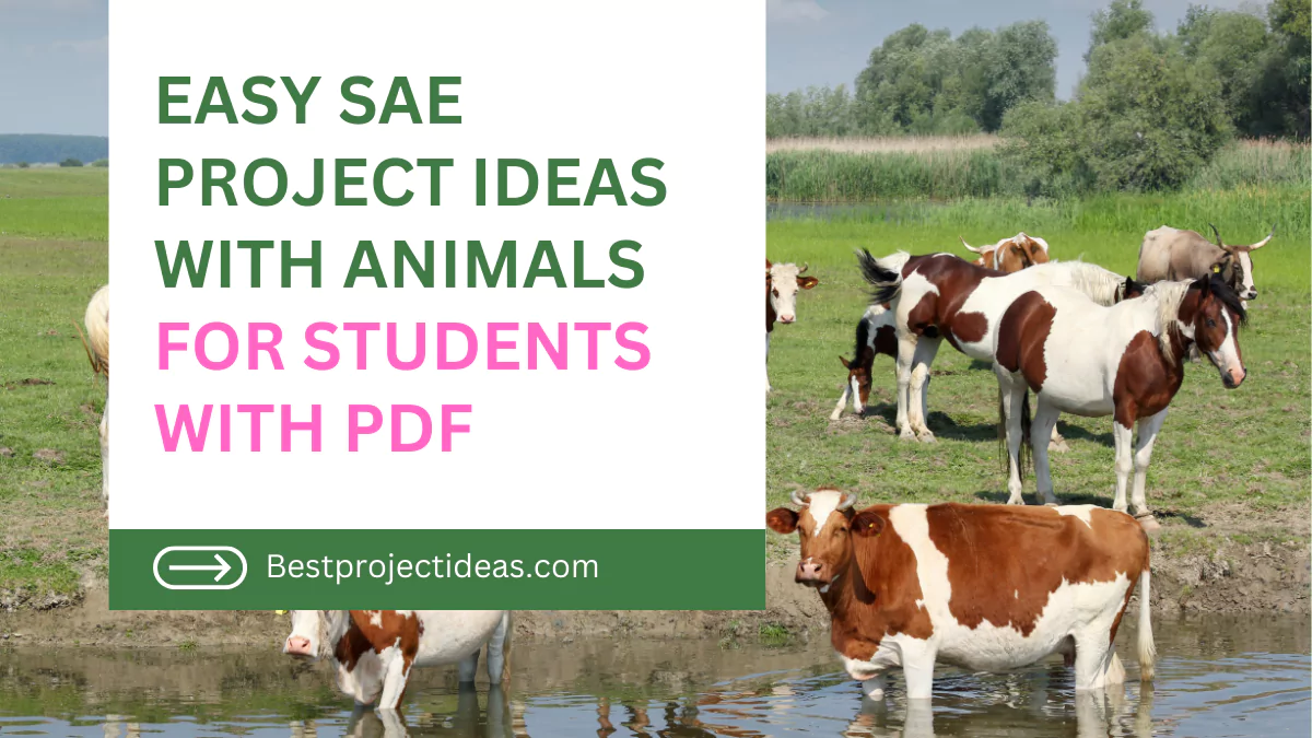 sae-project-ideas-with-animals