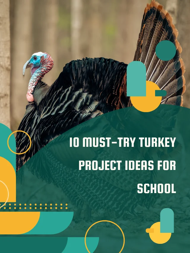 10 Must-Try Turkey Project Ideas For School