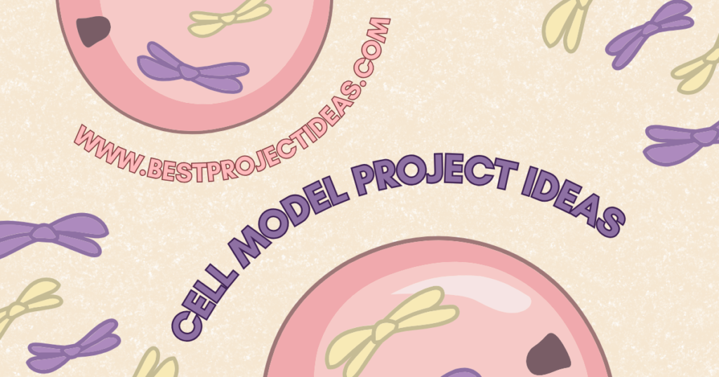 Cell Model Project Ideas