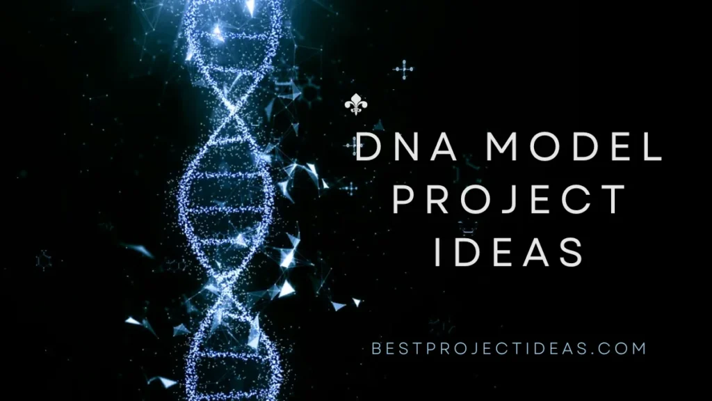 DNA Model Project Ideas