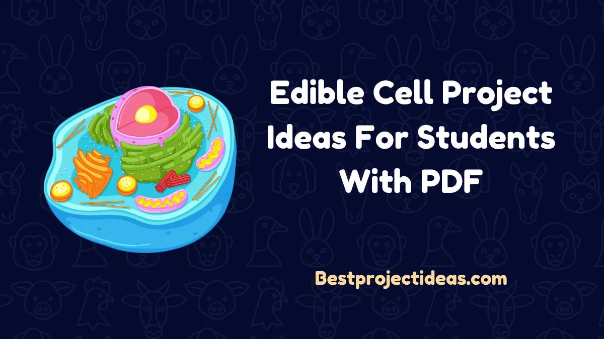 Edible Cell Project Ideas For Students