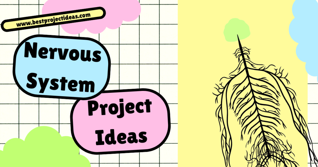 Nervous System Project Ideas