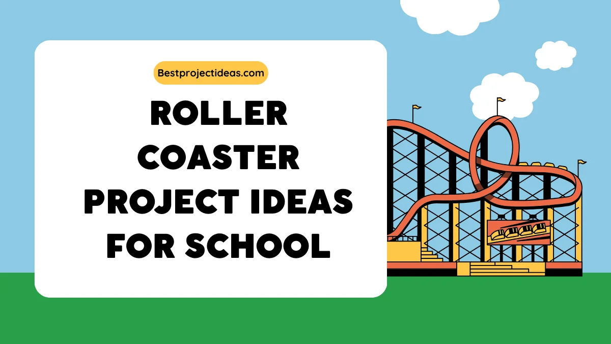 Roller Coaster Project Ideas For School