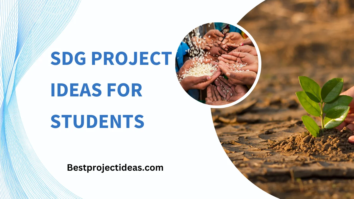 SDG Project Ideas For Students