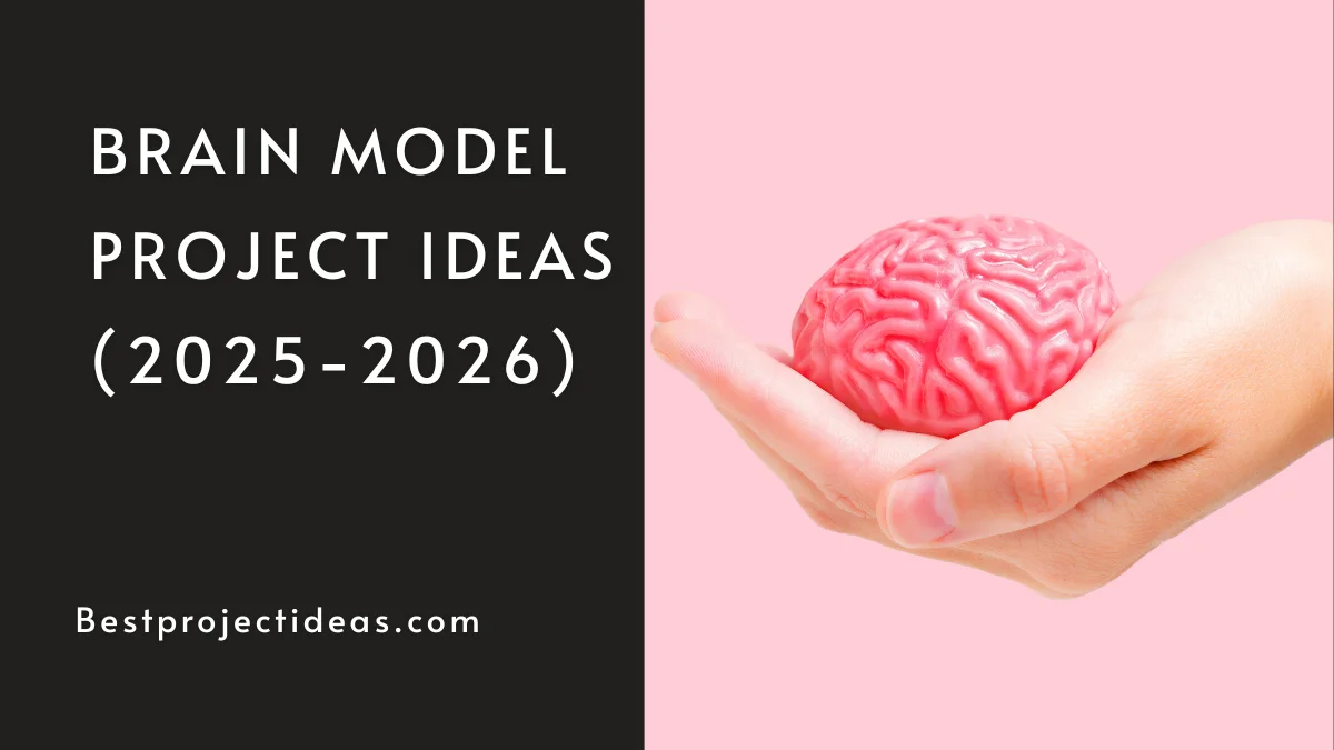 Brain Model Project Ideas