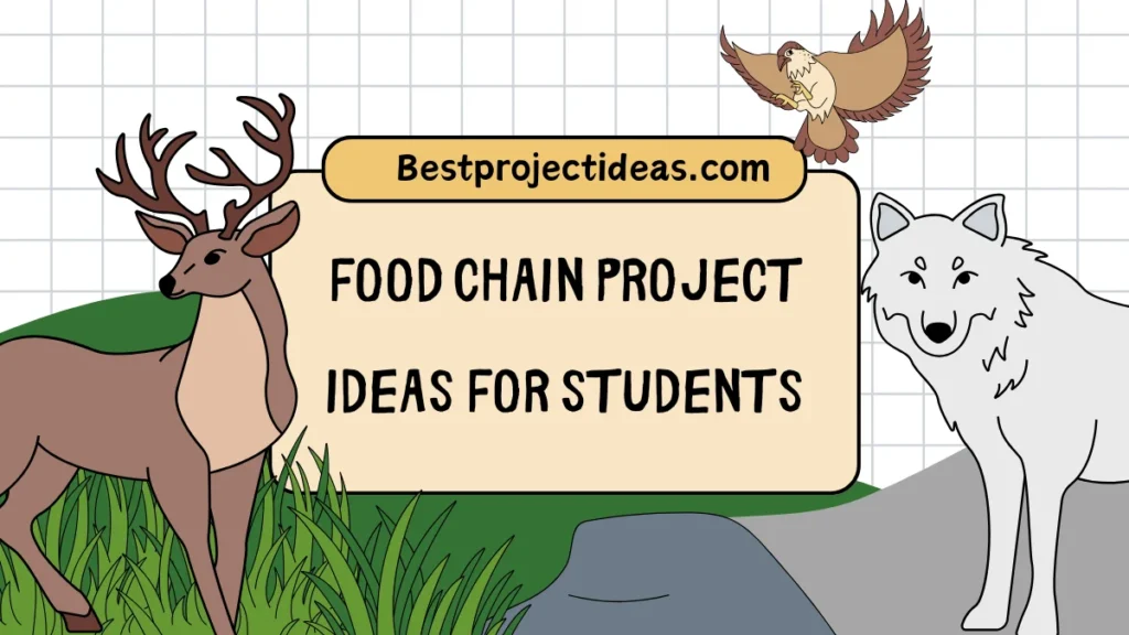 Food Chain Project Ideas For Students