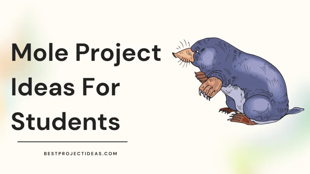 Mole Project Ideas For Students