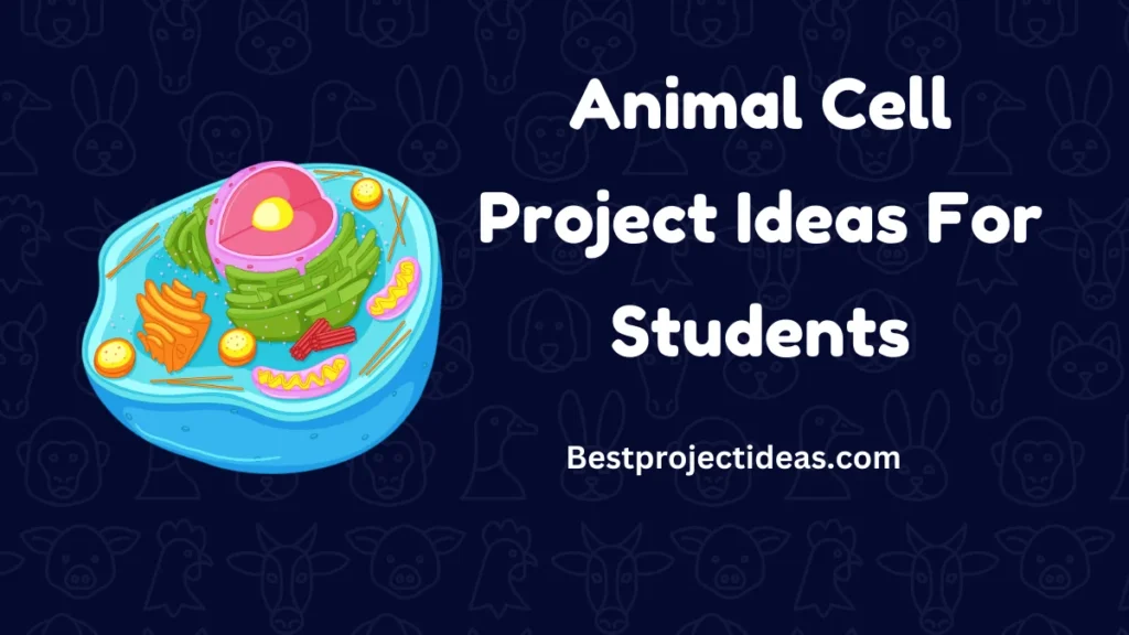 Animal Cell Project Ideas For Students