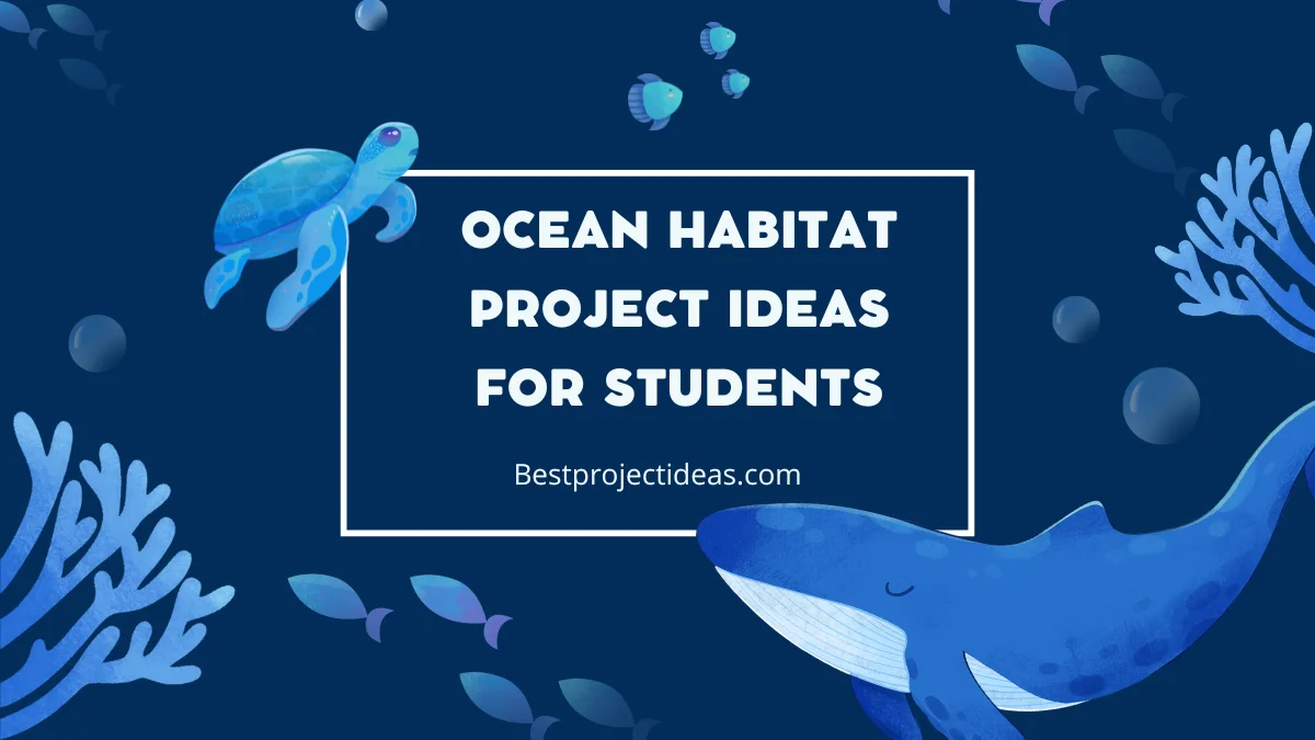 Ocean Habitat Project Ideas For Students
