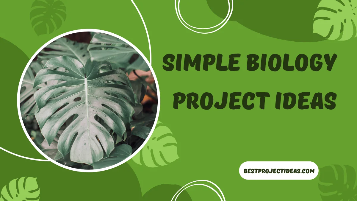 Simple Biology Project Ideas