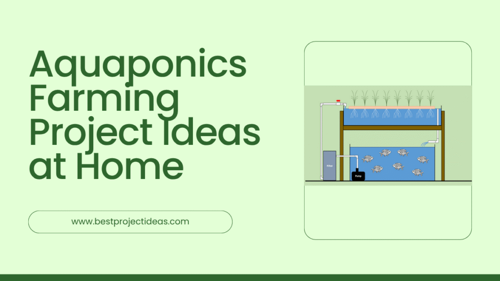 aquaponics farming project ideas at home