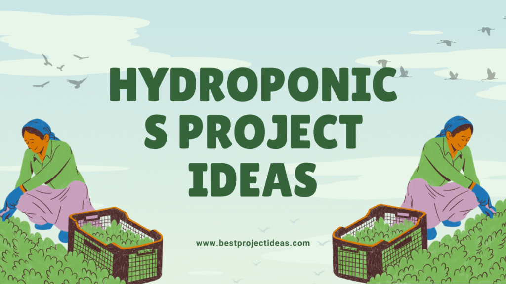 hydroponics project ideas