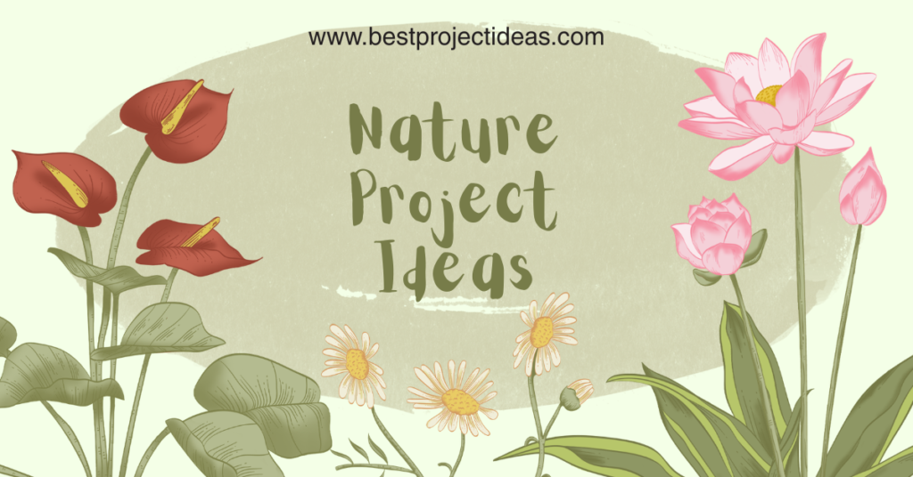 Nature Project Ideas